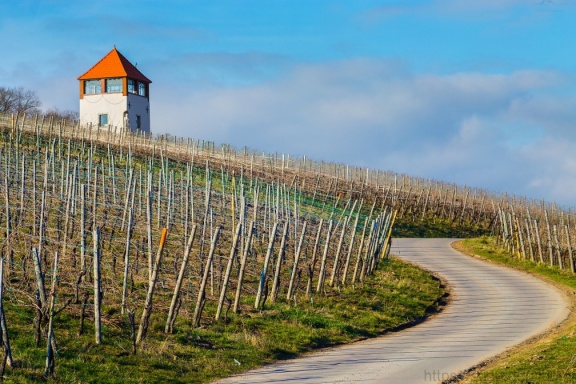 2019-02-22 Markusberg